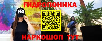 шишки Апшеронск