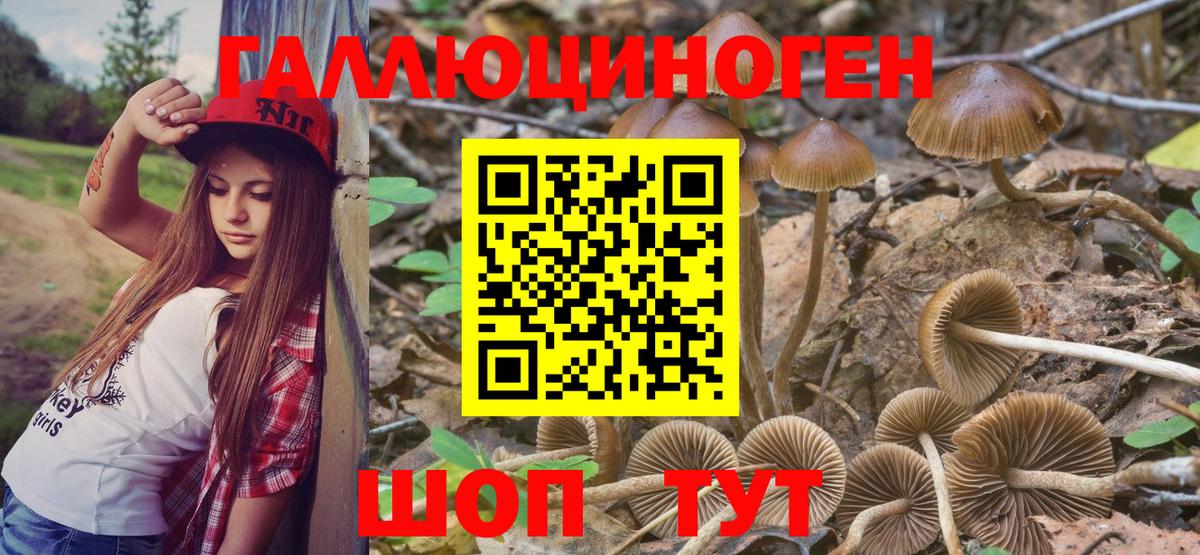 Псилоцибиновые грибы мицелий Вязьма